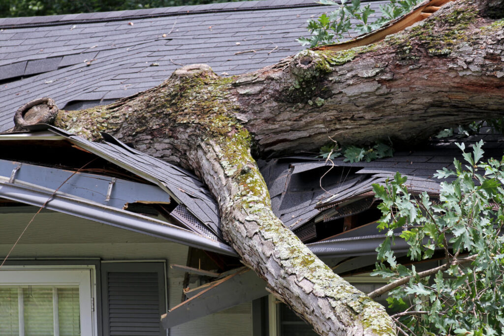 common causes of roof leak Long Island